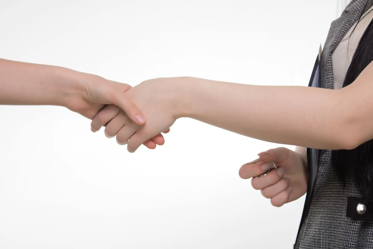 Two professionals meeting to discuss business partnership terms